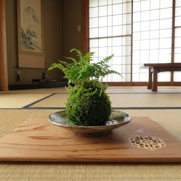 組子細工入り蛤端　薄板/花台/杉/茶道具